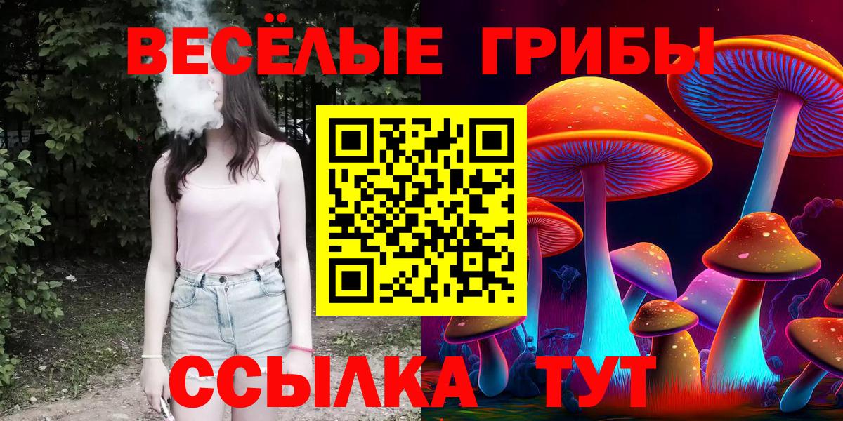 Псилоцибиновые грибы Cubensis  закладки  Тавда  Вход с VPN  Галлюциногенные грибы мицелий 